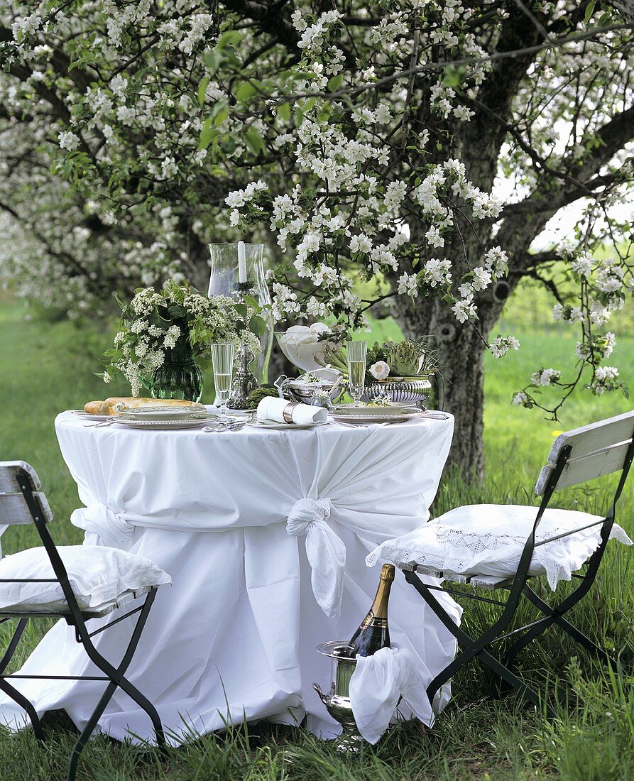 Table laid in white under flowering apple tree
