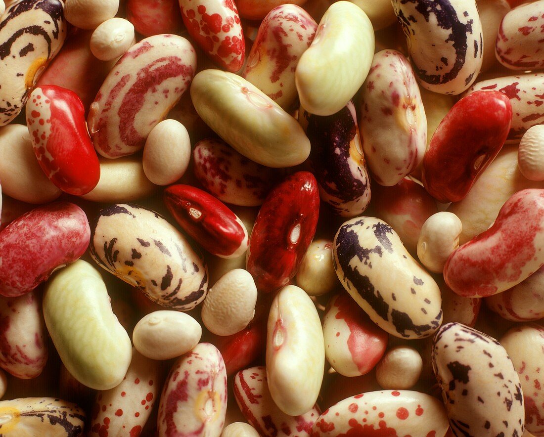 Assorted beans