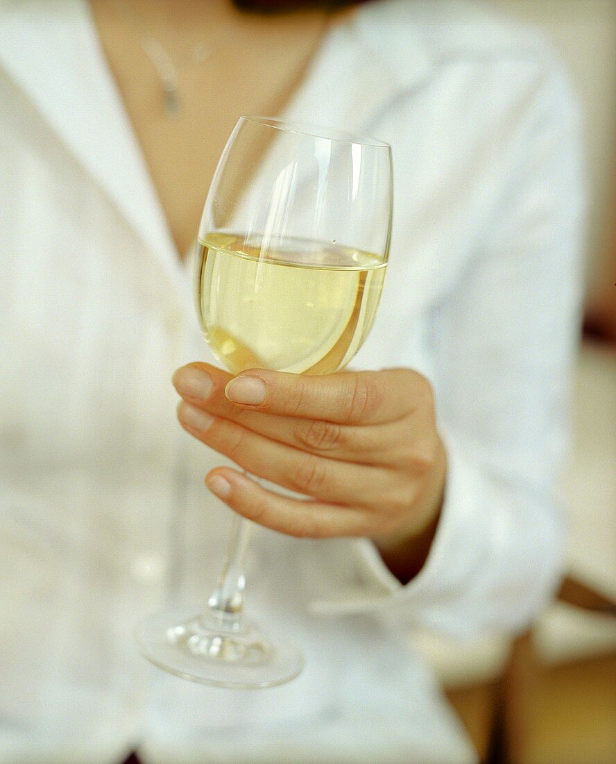Hand hält ein Glas Weißwein