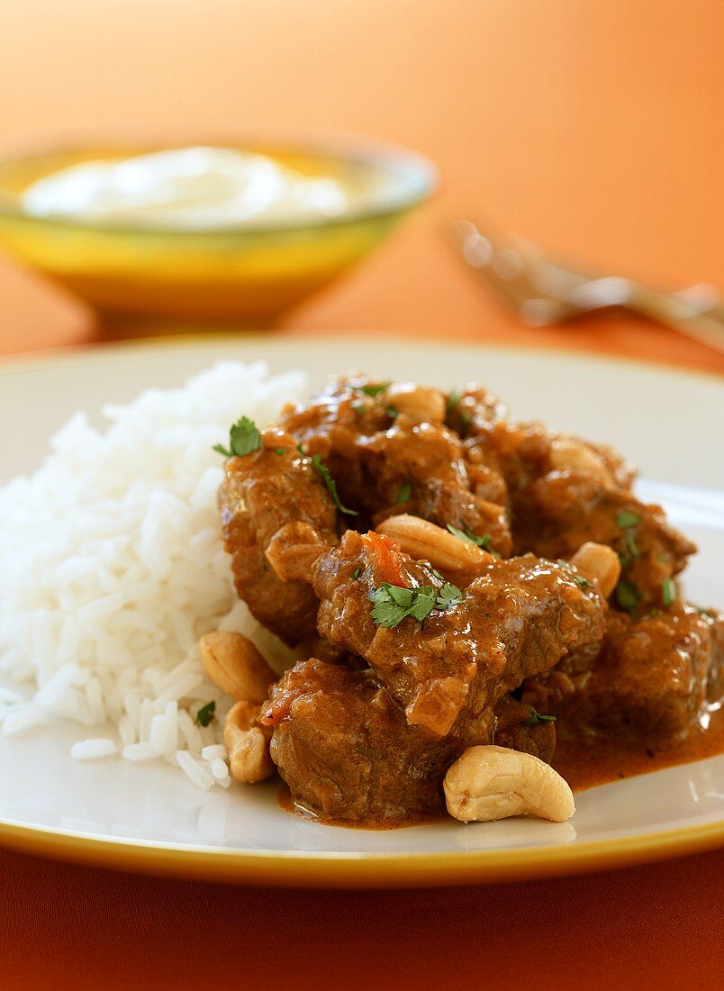 Lamb korma with cashew nuts and rice (India)