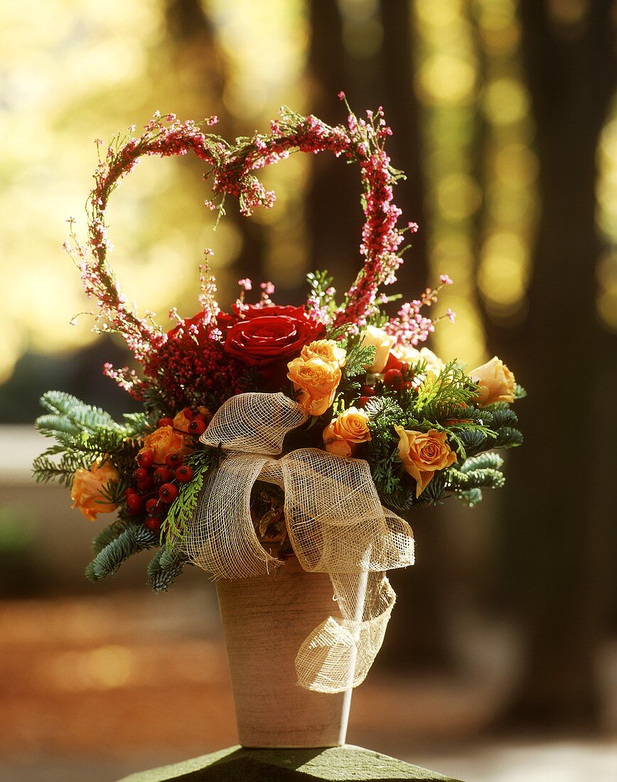 Arrangement of fir with roses &  Erica heart in terracotta pot