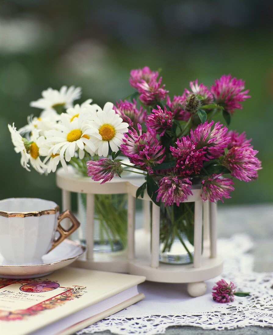 Gänseblümchen und Kleeblüten als Tischdeko