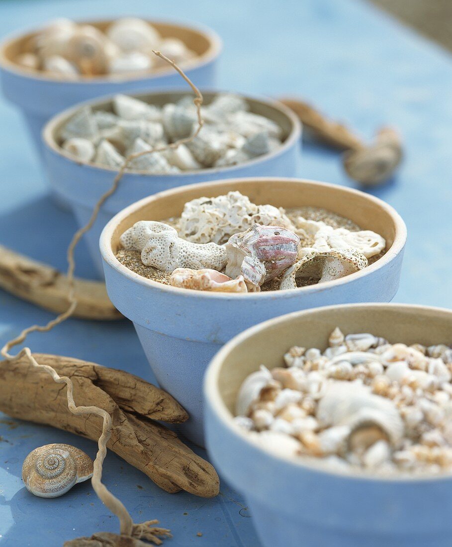 Tischdeko mit Schneckenhäuschen und Muscheln vom Strand