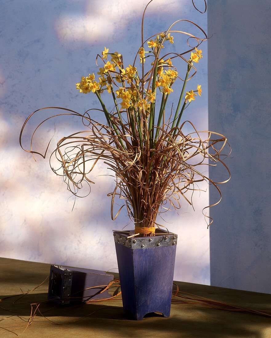 Standing bouquet of daffodils and twisted grass