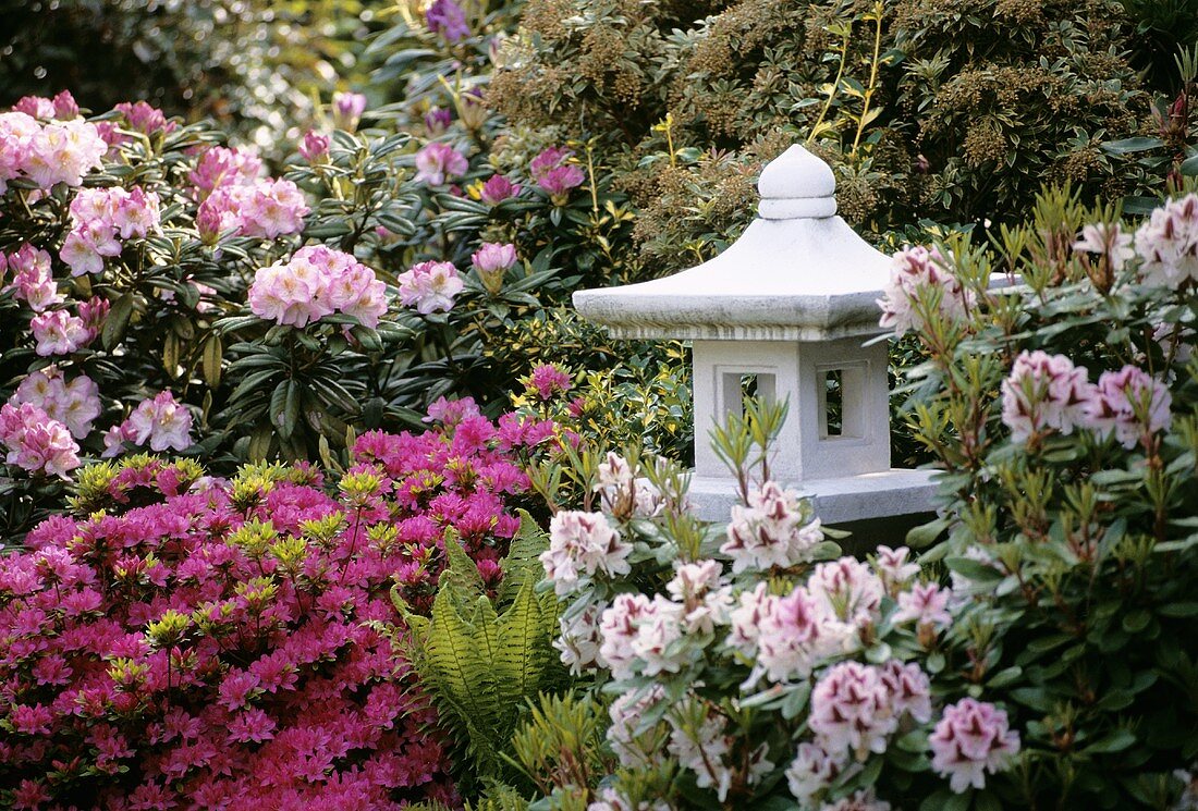 Small Asian pagoda surrounded by azaleas and rhododendrons
