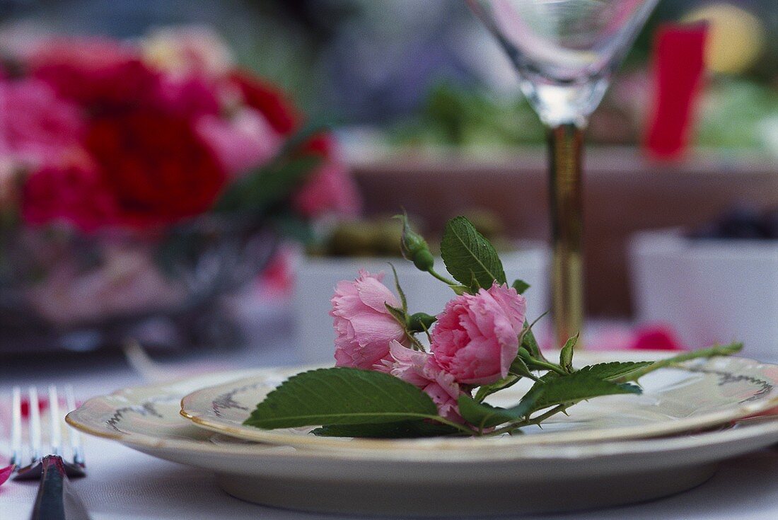 Rosafarbene Rose auf einem Teller