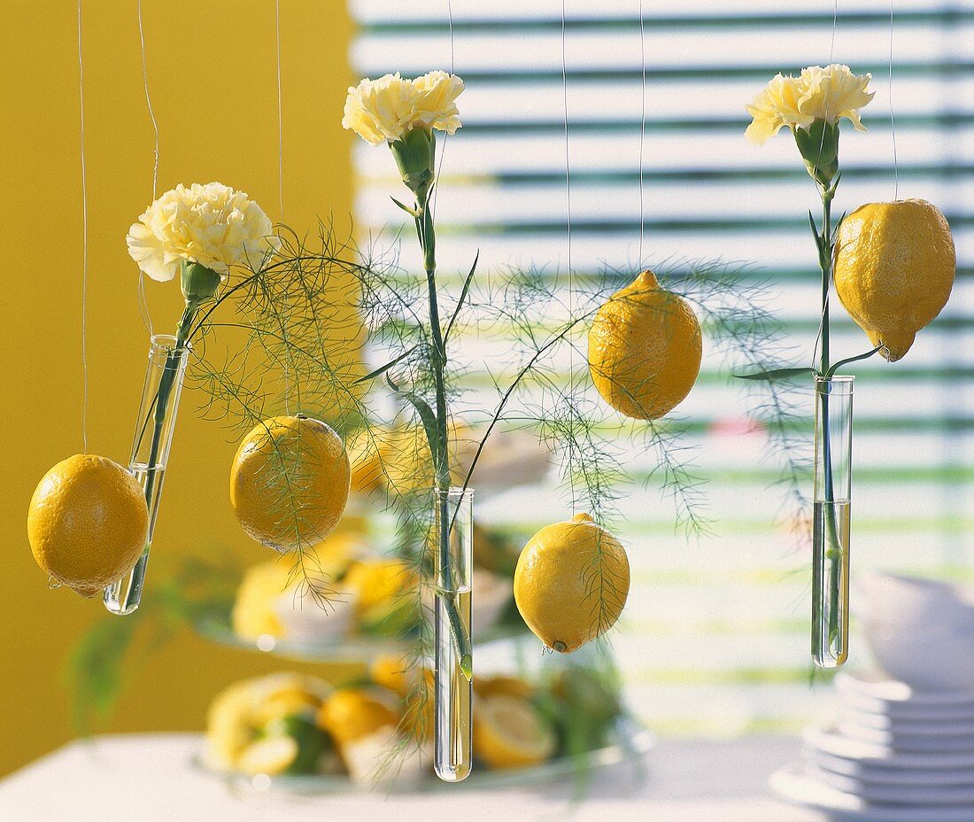 Dekoidee: Zitronen & gelbe Nelken an Drahtfäden aufgehängt