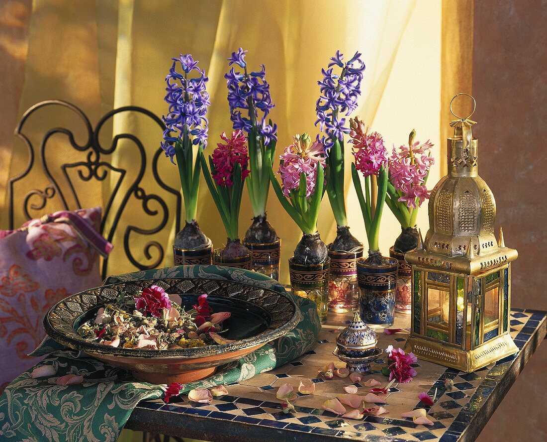 Pot-pourri, flowering hyacinths & Middle Eastern lantern