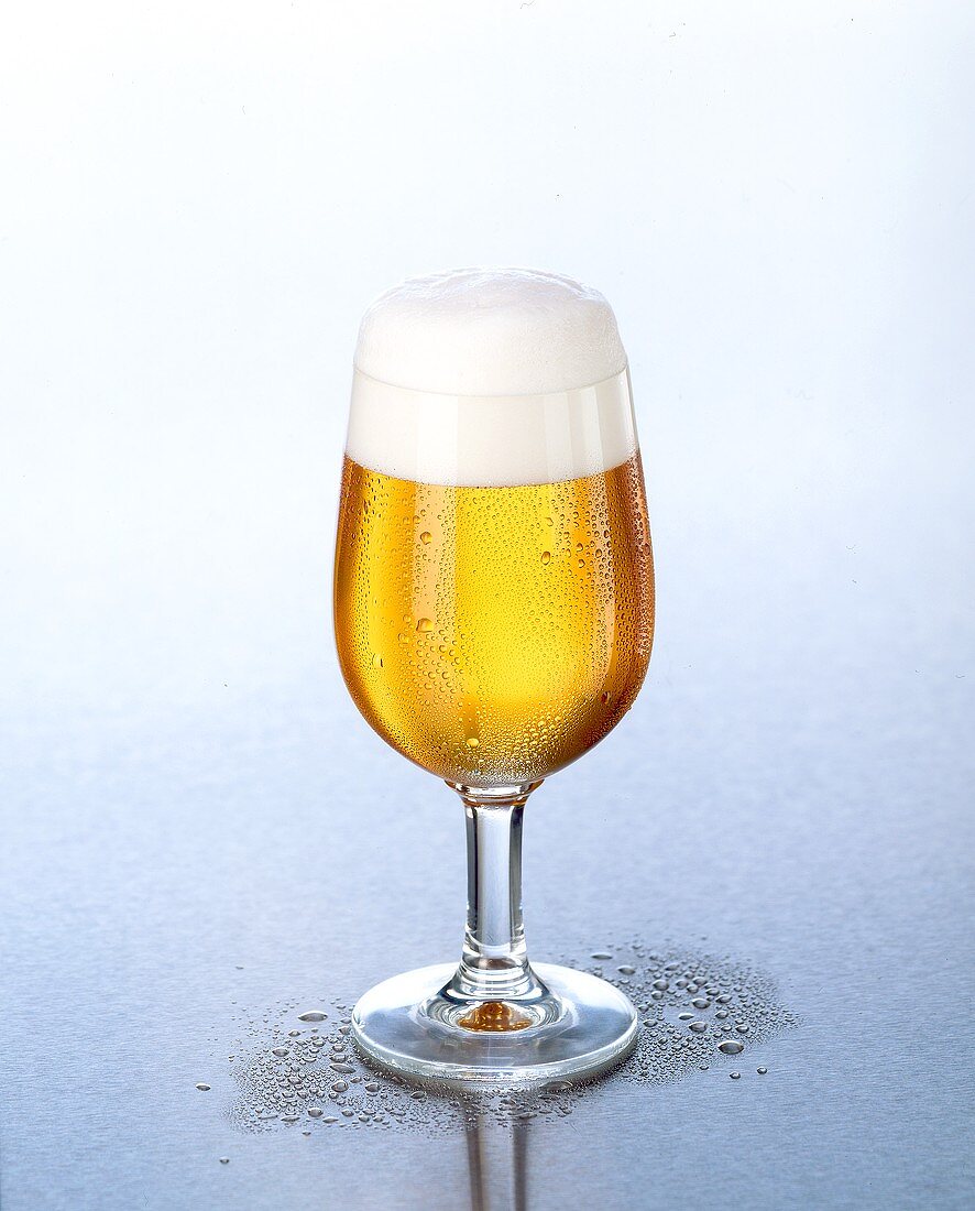 Pils with head of foam in a glass