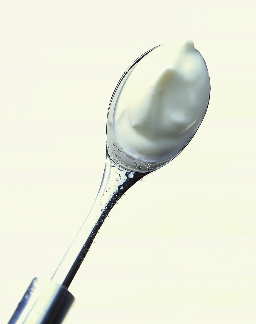 Natural yoghurt on a spoon