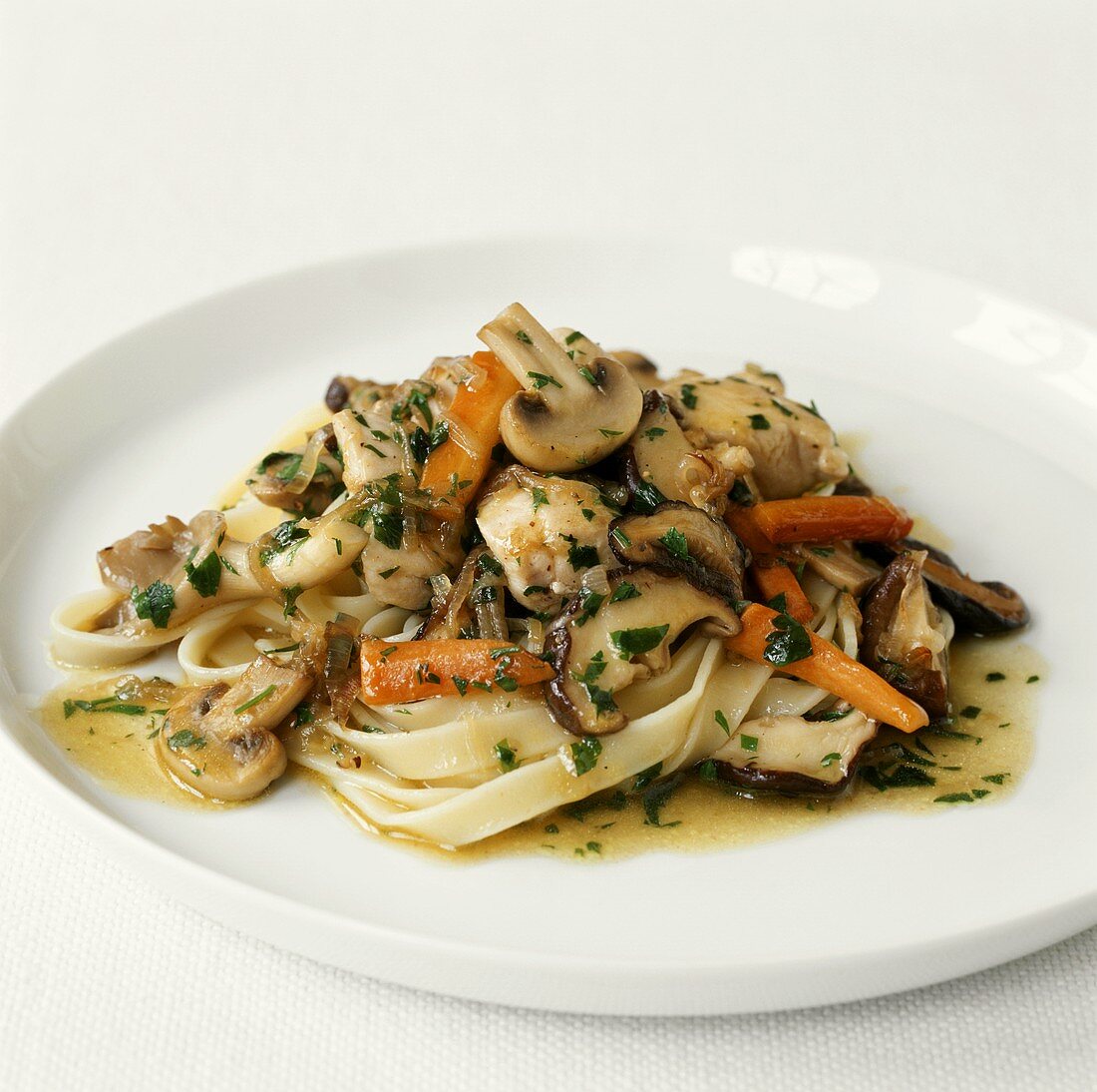 Ribbon pasta with chicken and mushroom ragout