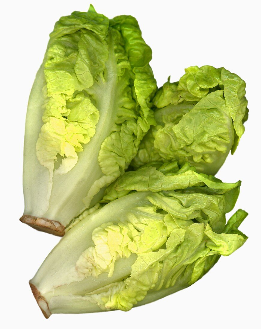 Three romaine lettuces