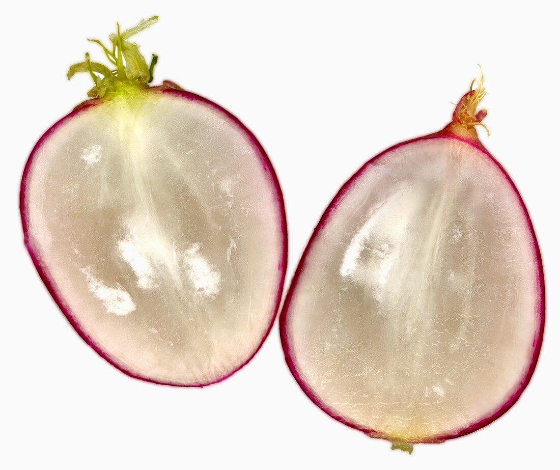Two thin slices of radish (close-up)