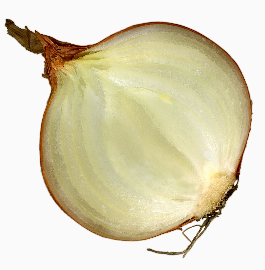 Half an onion (close-up)