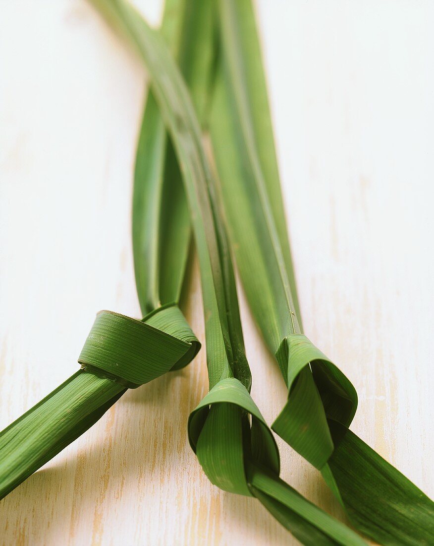 Three knotted Pandan leaves (Pandanus amaryllifolius)