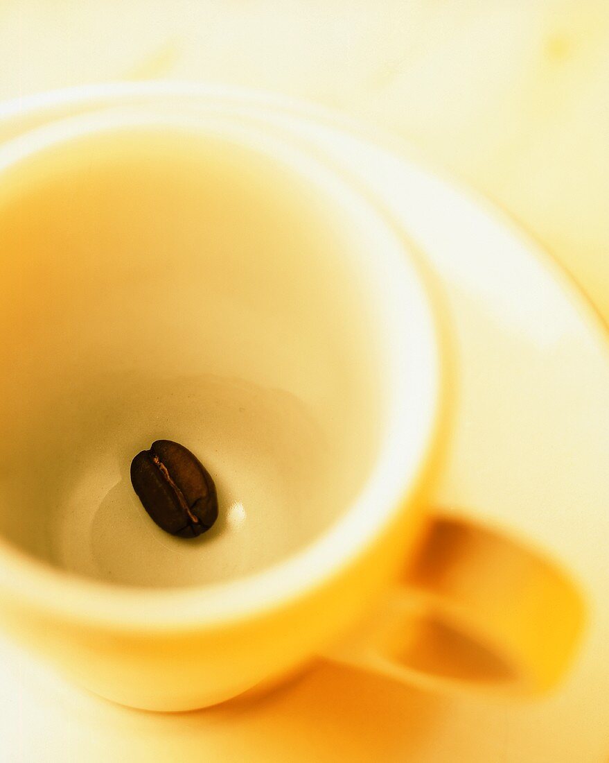 Eine Espressotasse mit einer einzelnen Kaffeebohne