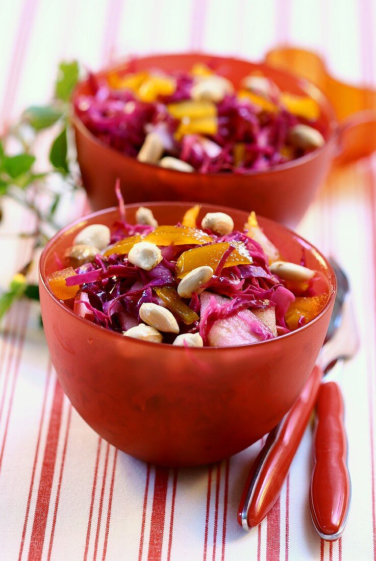 Red cabbage salad with peanuts and apples