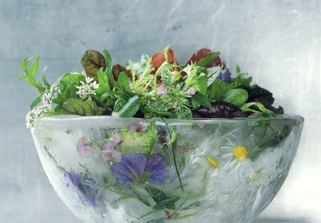 Mixed salad with wild herbs in ice bowl