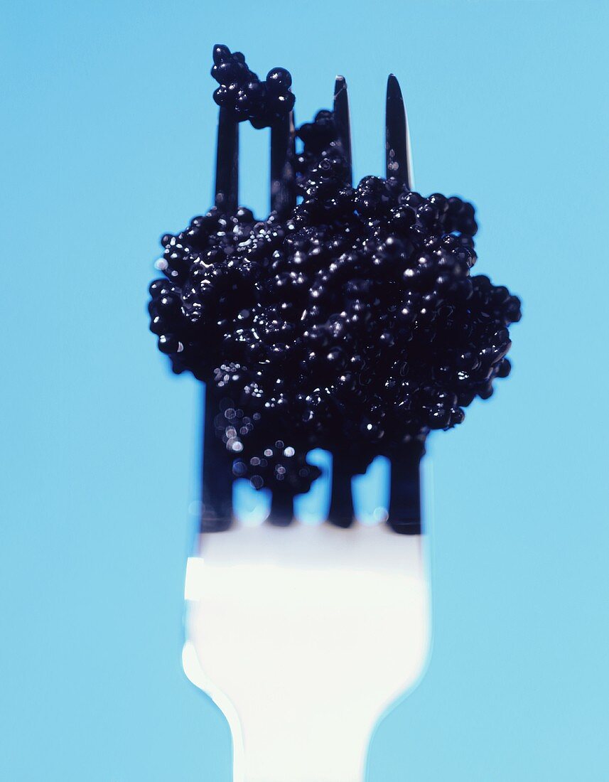Black caviare on a fork