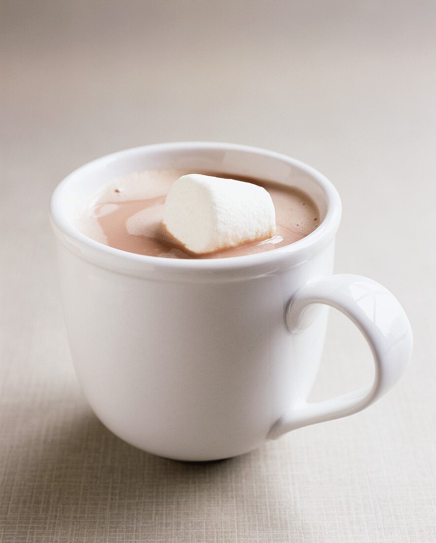Eine Tasse Kakao mit Marshmallow