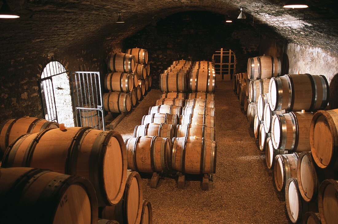 Weinkeller vom Spitzengut Comtes Lafon, Mersault, Burgund