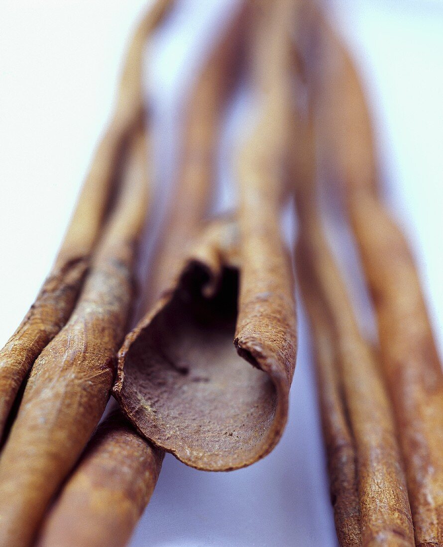 Several cinnamon sticks (close-up)