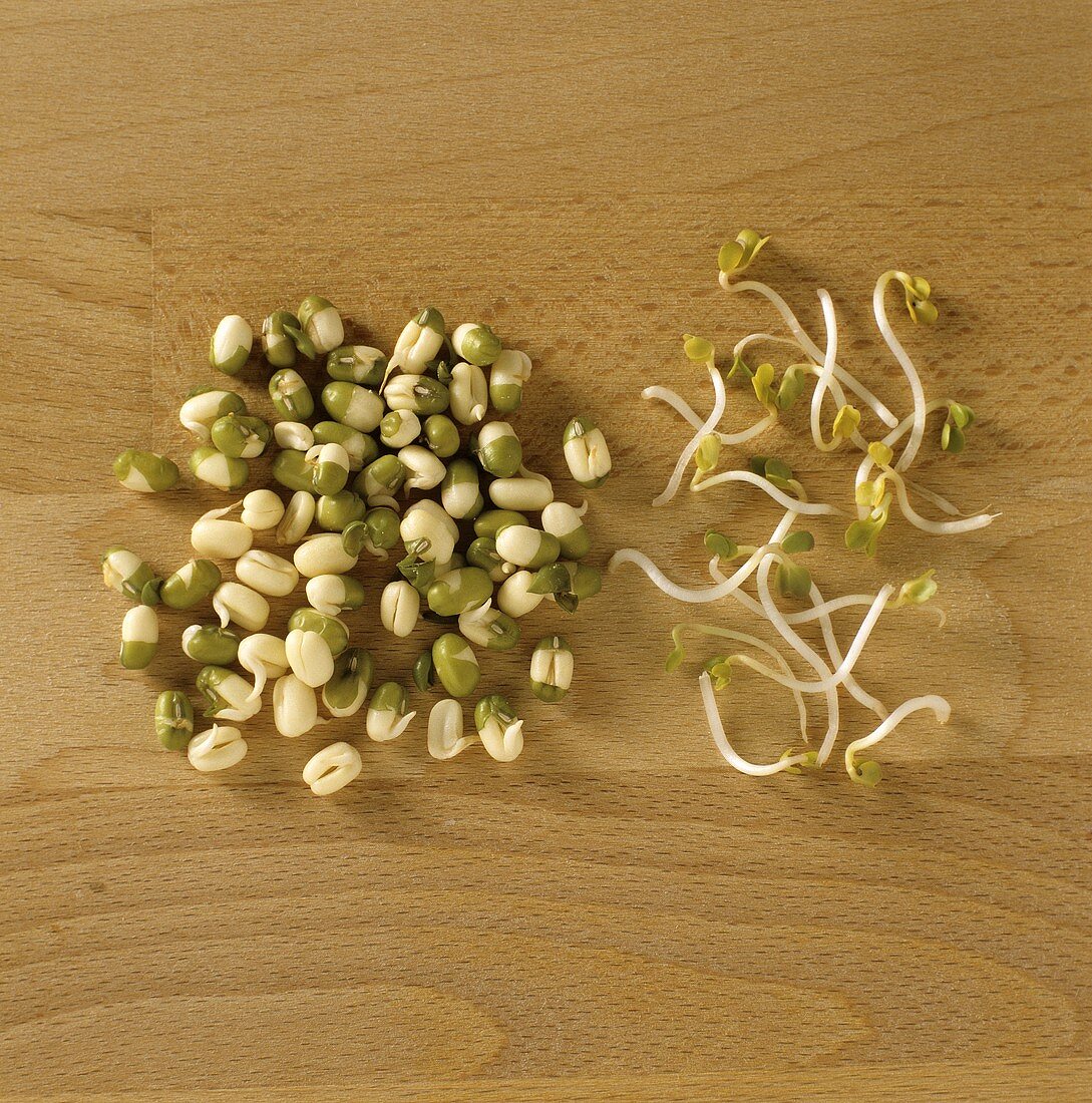 Fresh bean sprouts