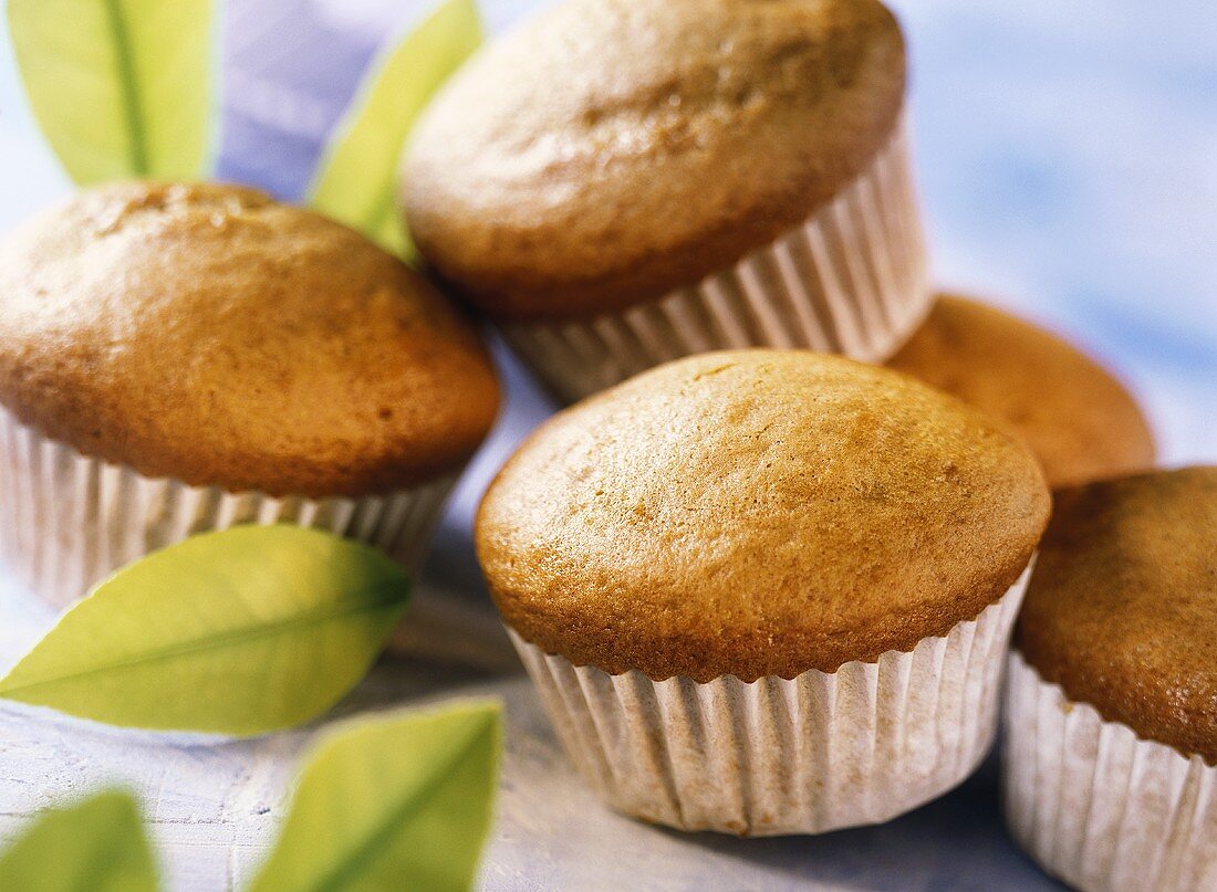 Vanillemuffins in Papierförmchen