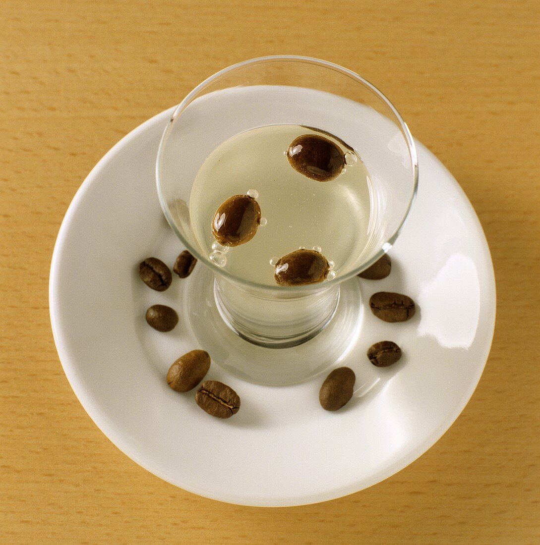 Sambuca (Anislikör aus Sizilien) mit Kaffeebohnen