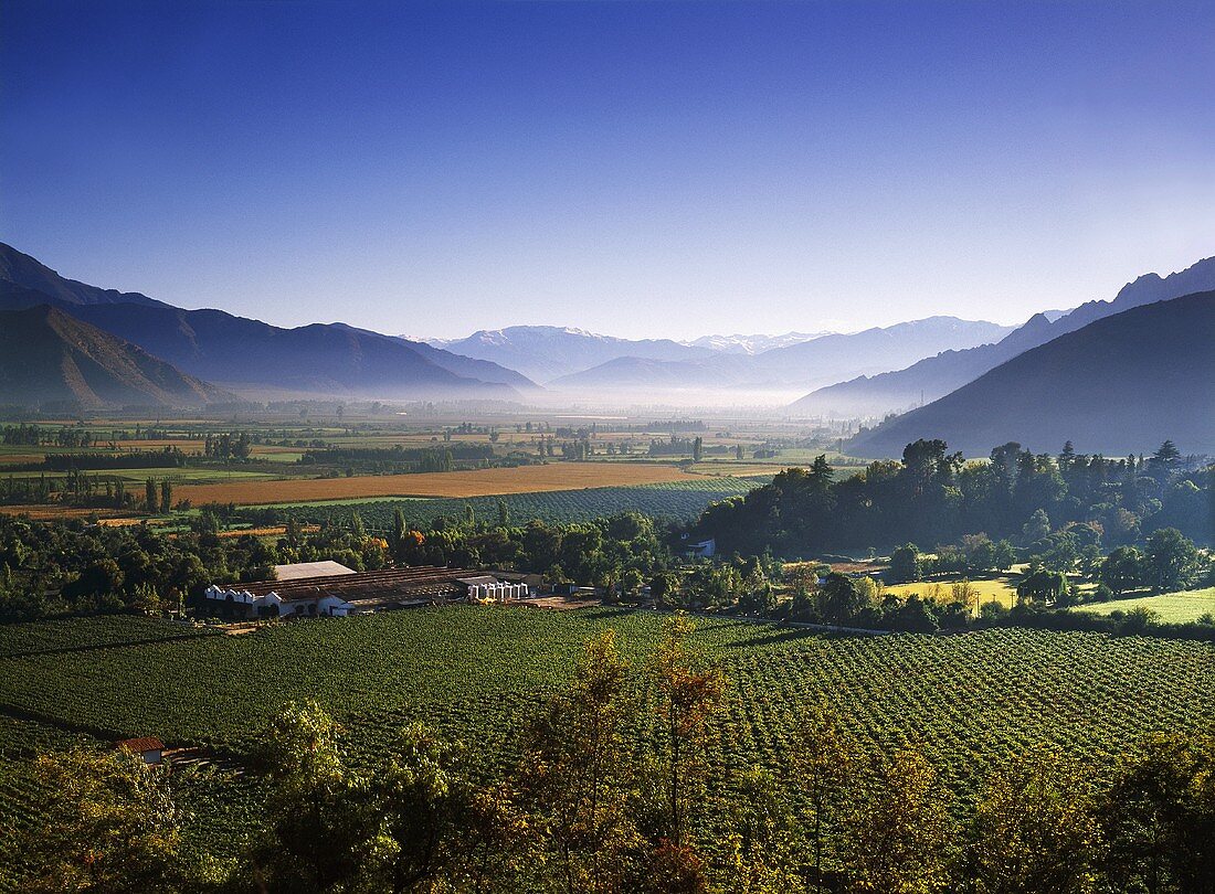 Bodegas und Weinberge von Errazuriz, Valle del Aconcagua, Chile