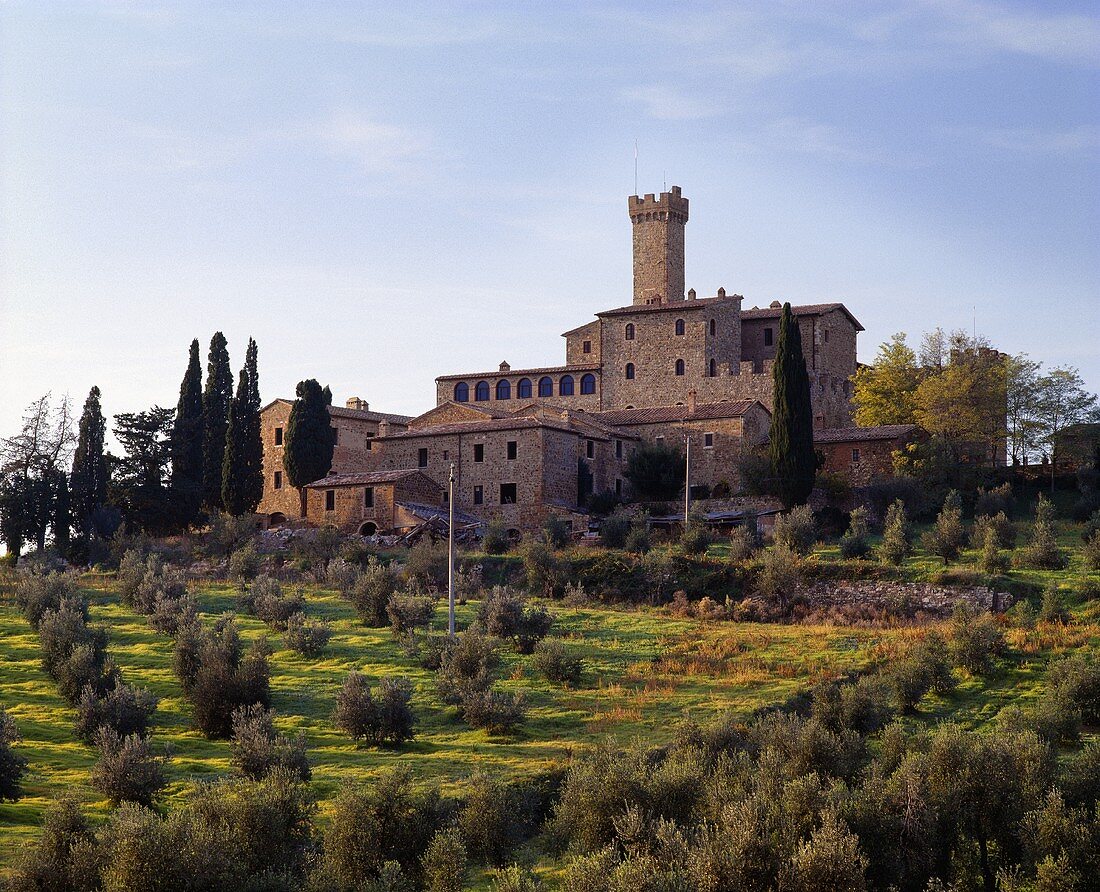 Castello Banfi, bei Sant'Angelo Scalo, Toskana, Italien
