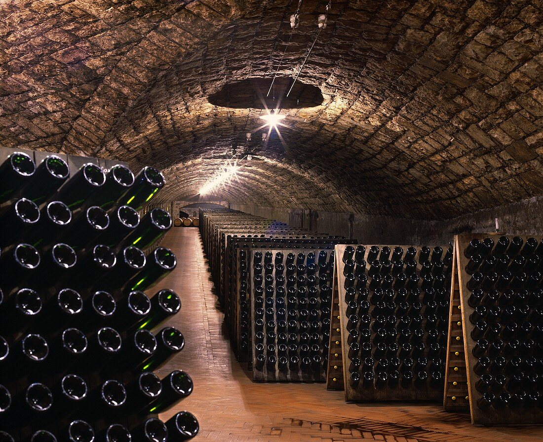 Einer der Wein-Tunnels von Ca'del Bosco, Lombardei, Italien