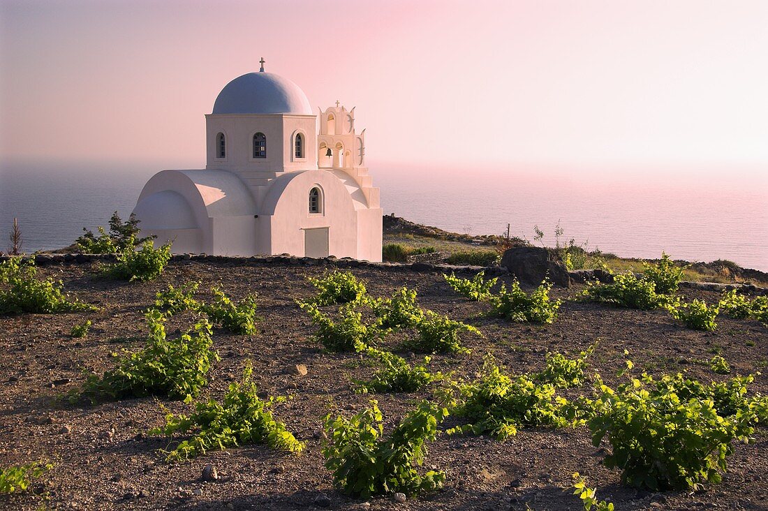 Kapelle & Weinberg, Mesa Pigadia, Nahe Akrotiri, Santorini