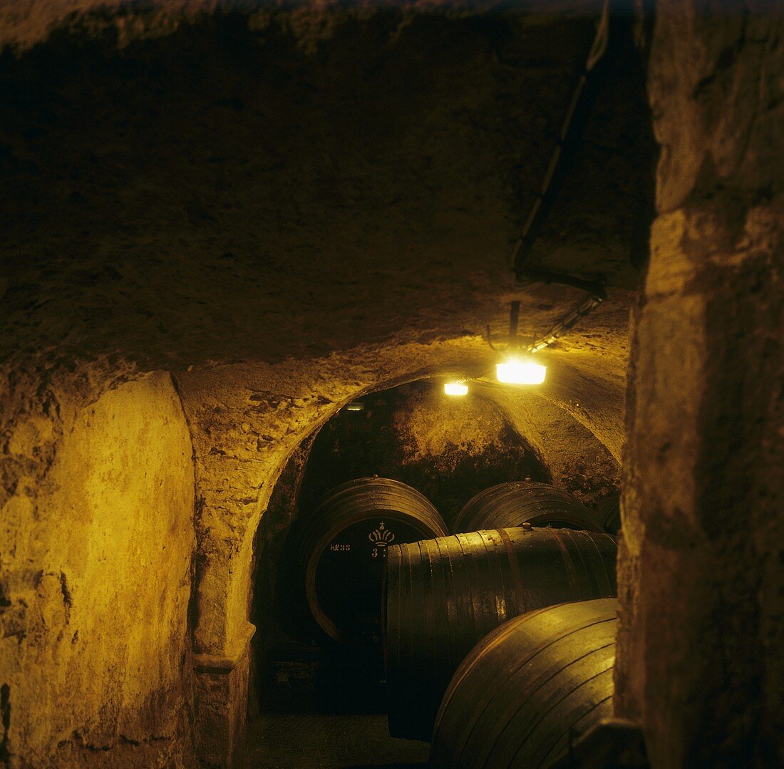 Weinkeller im Castel Sallegg, Kaltern, Südtirol