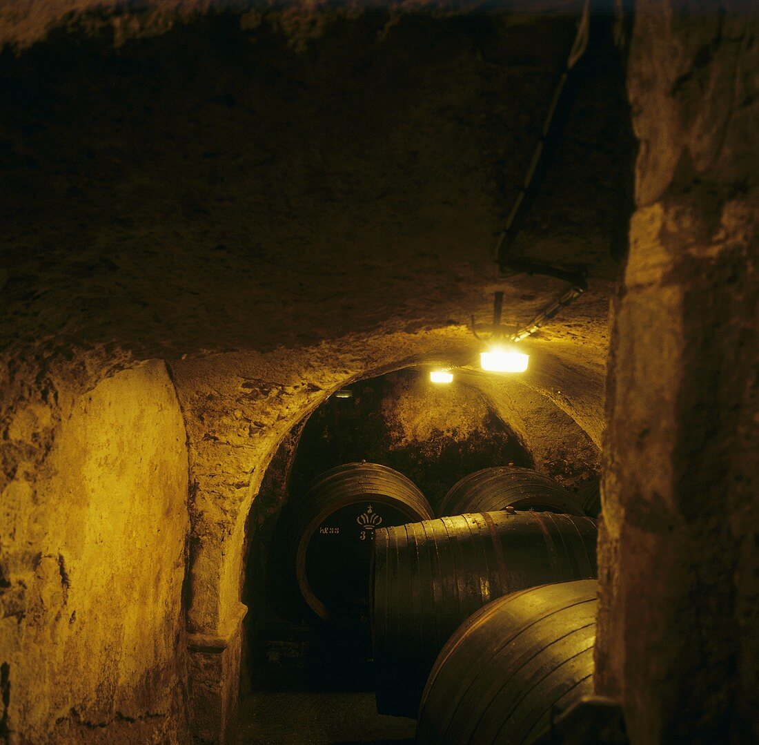 Wine cellar in Castel Sallegg, Kaltern, S. Tyrol