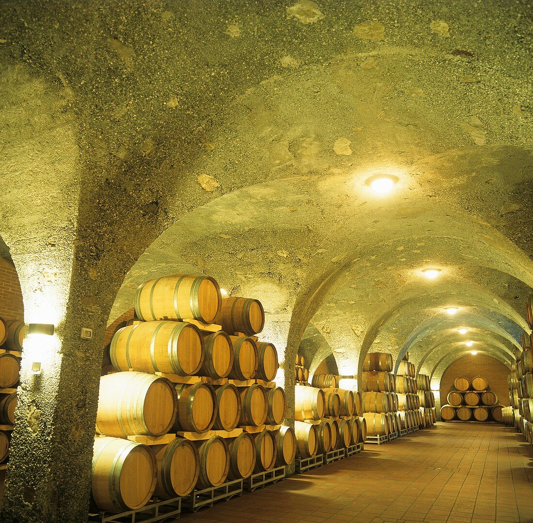 Wine cellar, Tenuta Corte Pavone, Montalcino, Tuscany, Italy
