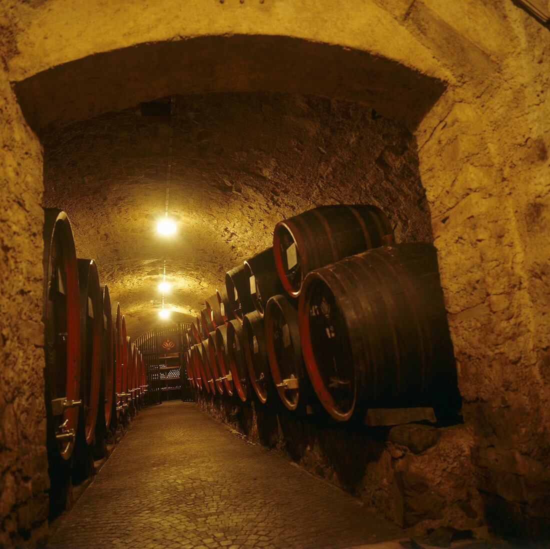 Weinkeller im Castel Sallegg, Kaltern, Südtirol