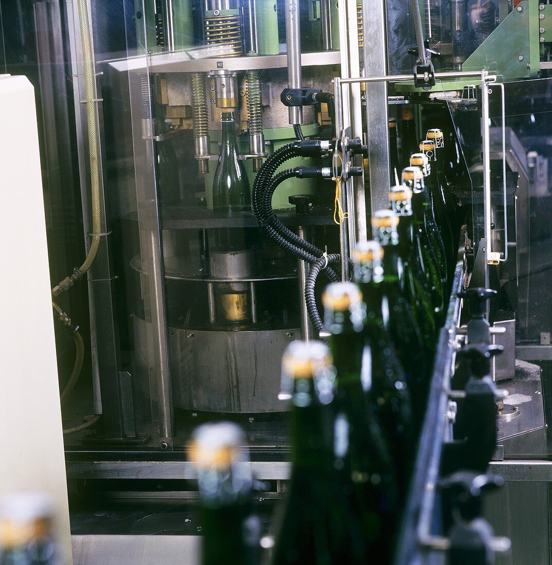 Maschinelles Aufbringen von Agraffe (Draht) auf Sektflaschen