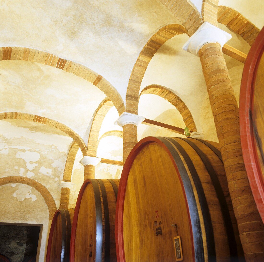 Barrels, Fattoria di Felsina, Castelnuovo Berardenga, Tuscany