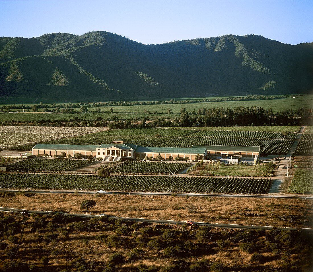 The Veramonte Winery from above, Casablanca, Chile