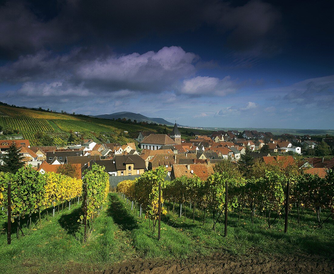 View of Ranschbach (Rhine Palatinate, Germany)