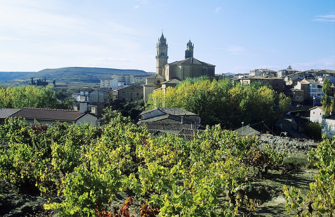 Elciego, Rioja Alavesa, Rioja, Spanien