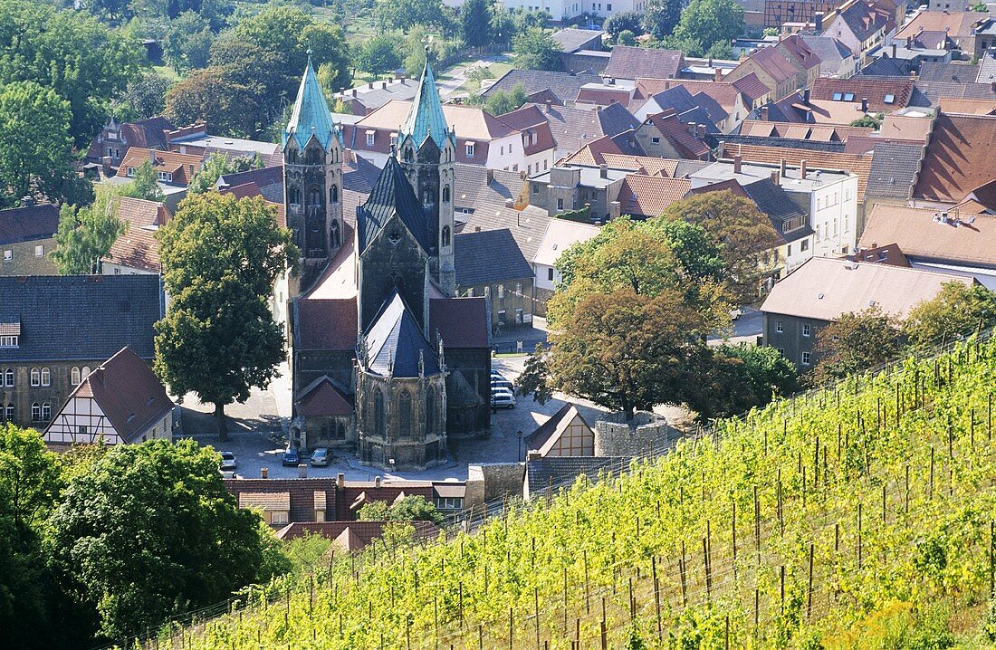Vineyards near Freyburg, Saale-Unstrut