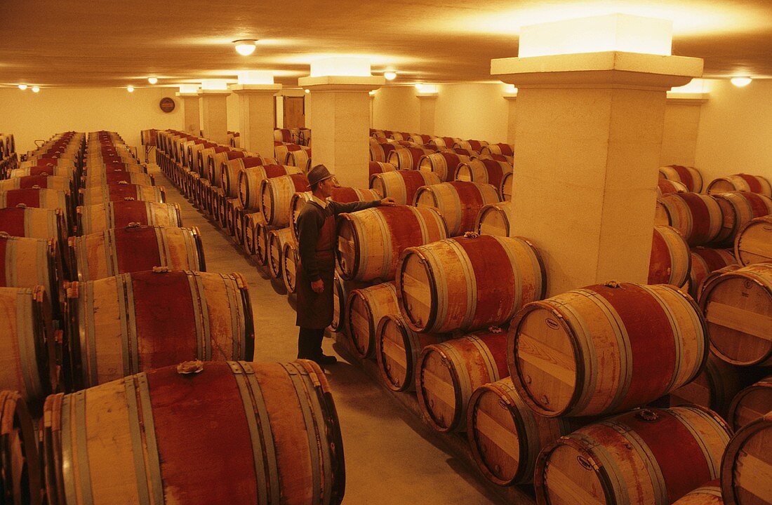 Wine cellar of Château Cheval Blanc, St. Emilion, France