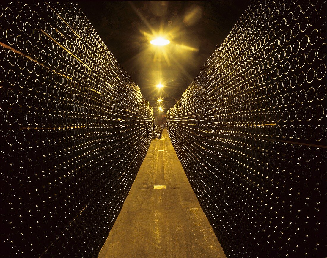 Cellar of Piper-Heidsieck, Epernay, Champagne, France