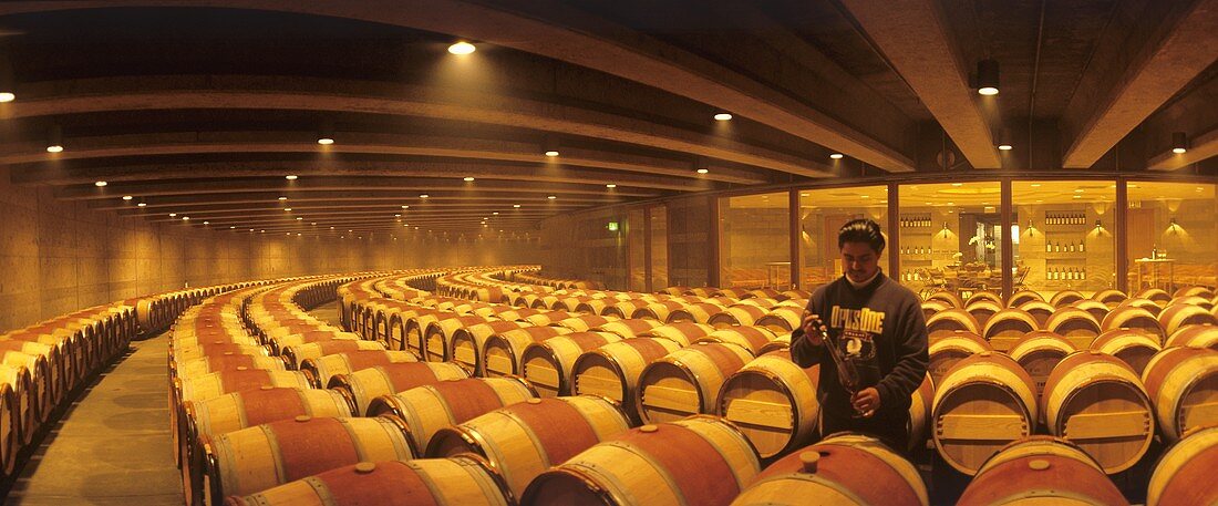 Cellar of Opus One Winery, Oakville, Napa Valley, USA