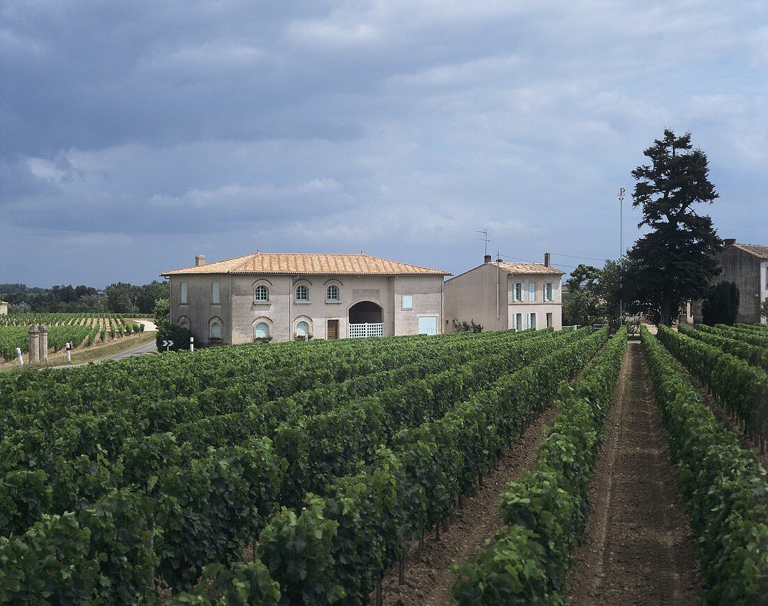 Das Weingut Château Pétrus, Pomerol, Bordeaux, Frankreich