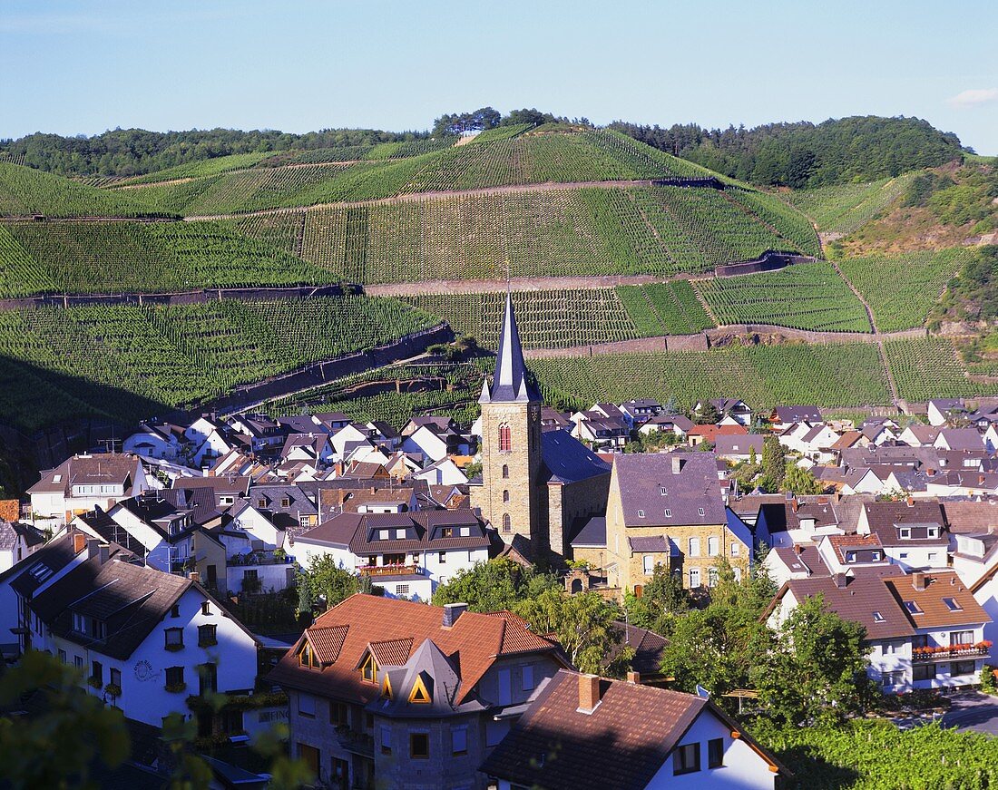 Der Weinort Dernau im Ahrtal, Deutschland