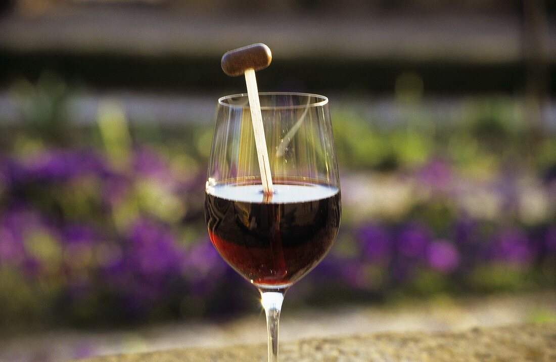 A glass of red wine with wine thermometer