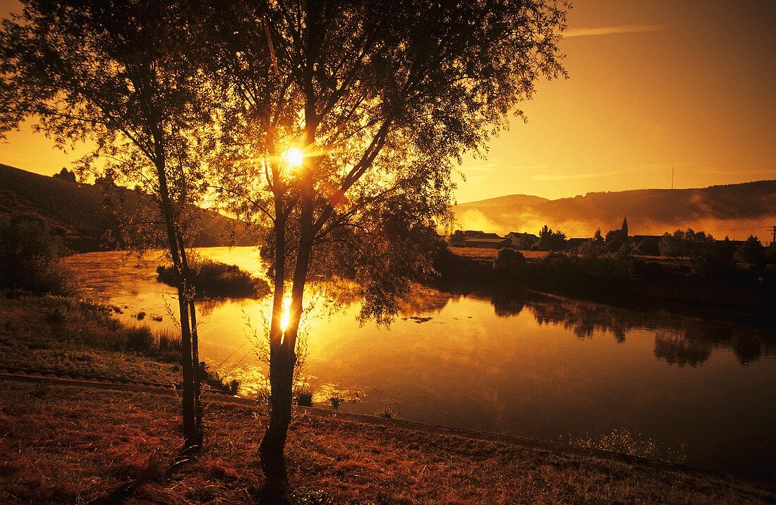 Morgenimpression an der Saar bei Schoden, Deutschland